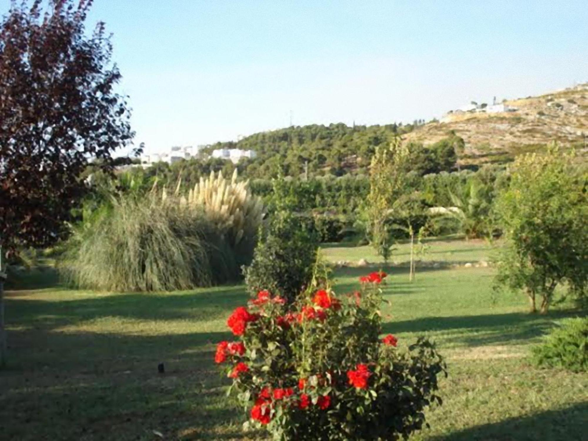 La Piana Di Calena Peschici