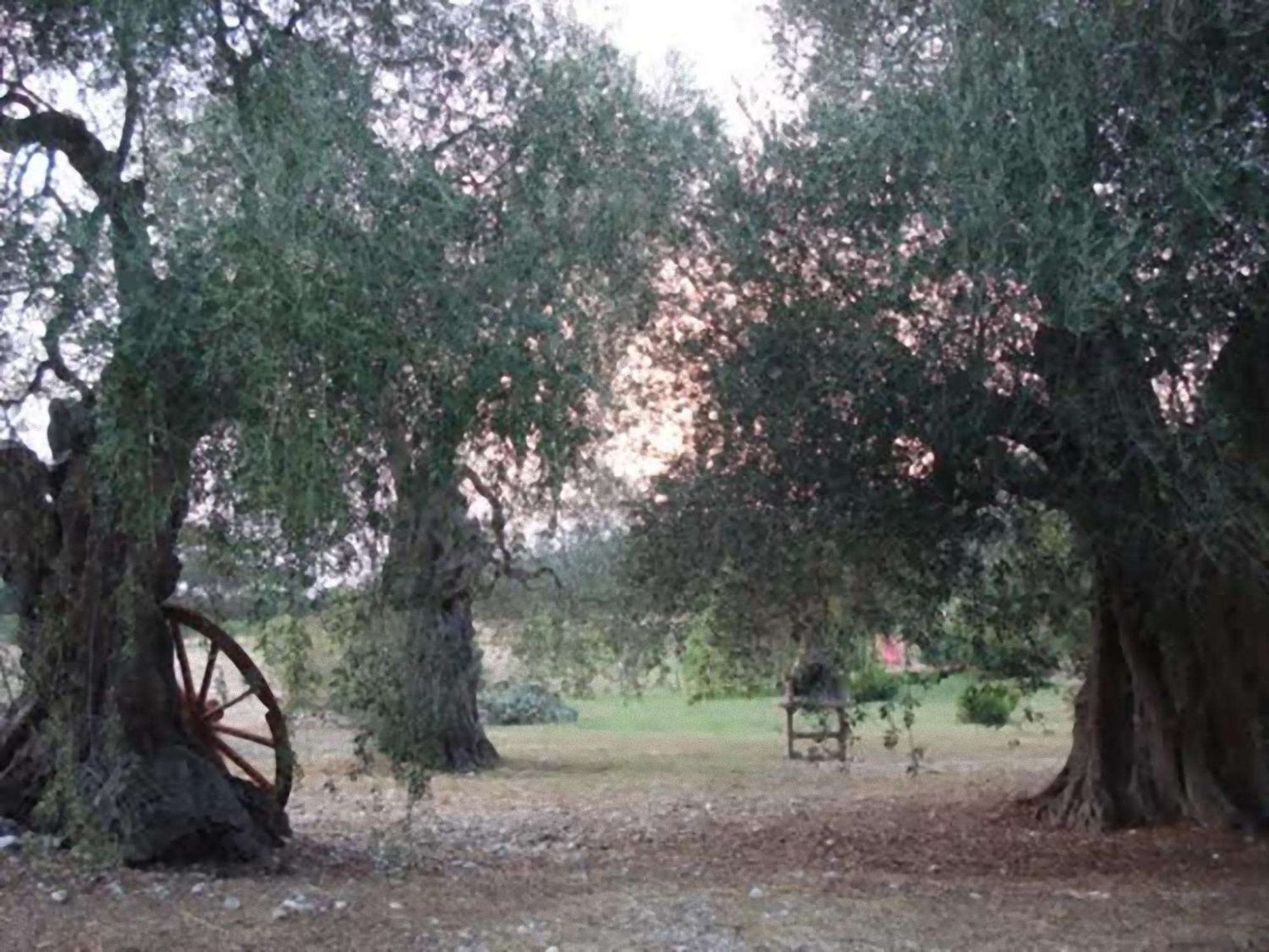 La Piana Di Calena
