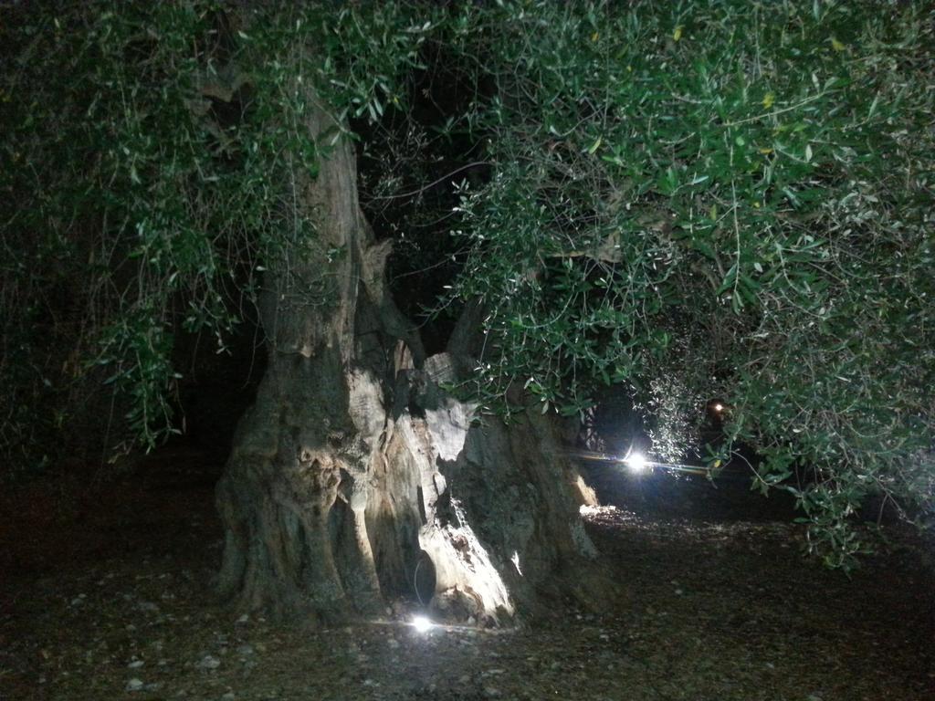 La Piana Di Calena Peschici