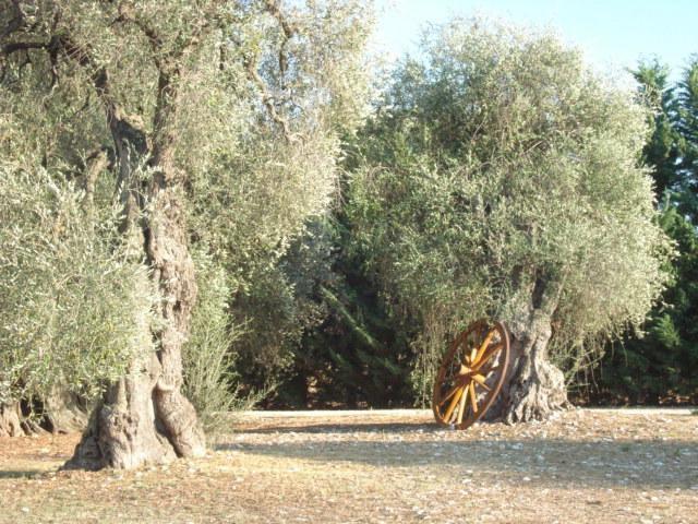 Farm stay La Piana Di Calena *